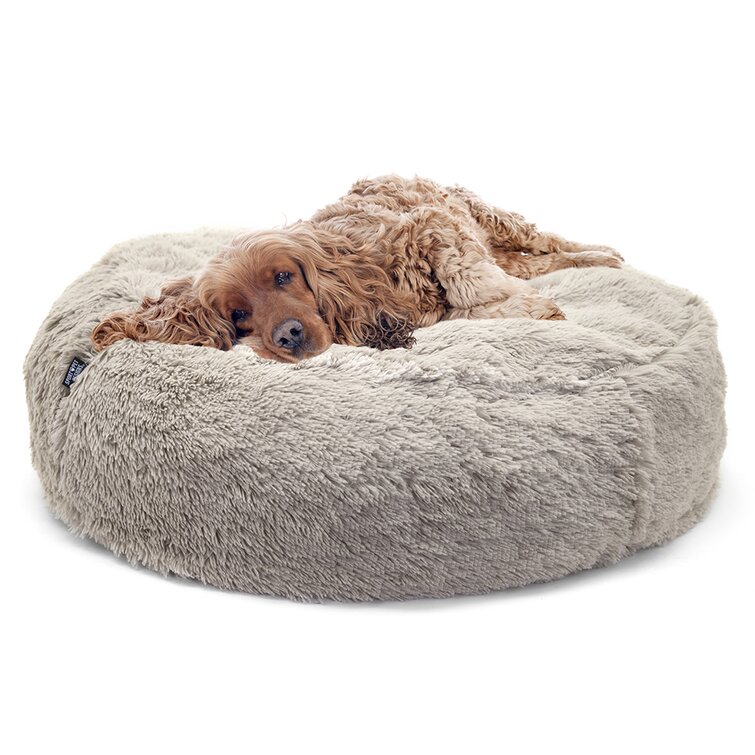 Large comfy 2024 dog beds